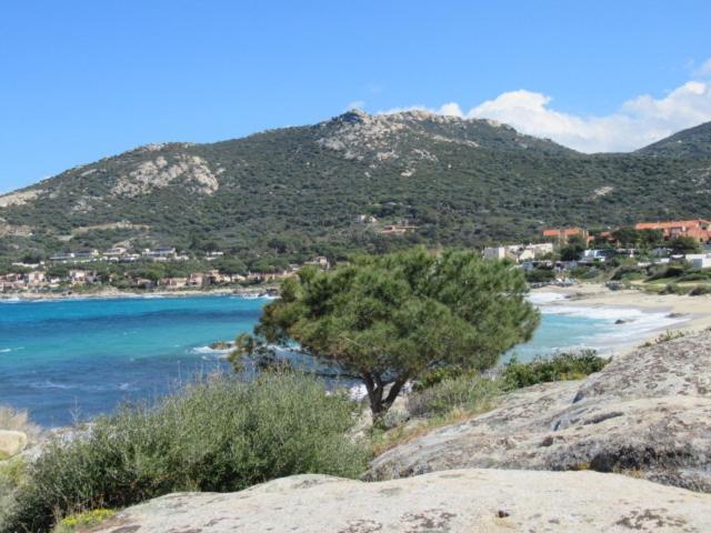 T2 Renove 100M Plage Avec Spa Privatif Entre Calvi Et Ile Rousse ลูมิโอ ภายนอก รูปภาพ